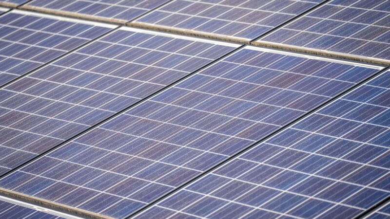 المملكة العربية السعودية تكشف عن مشروع طاقة متجددة بقيمة خمسين مليار دولار