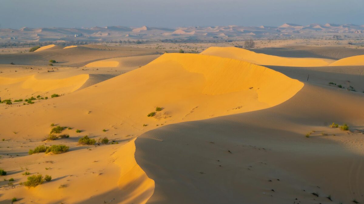 Vast desert sand dunes cinematic landscape Arrakis-like